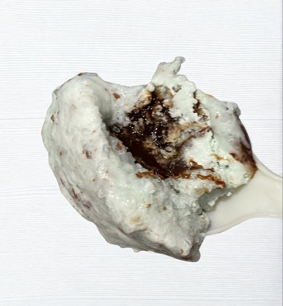 チョコミント大好きな白くま チョコソース