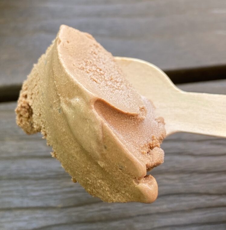 チョコミント チョコレート 1st scoop