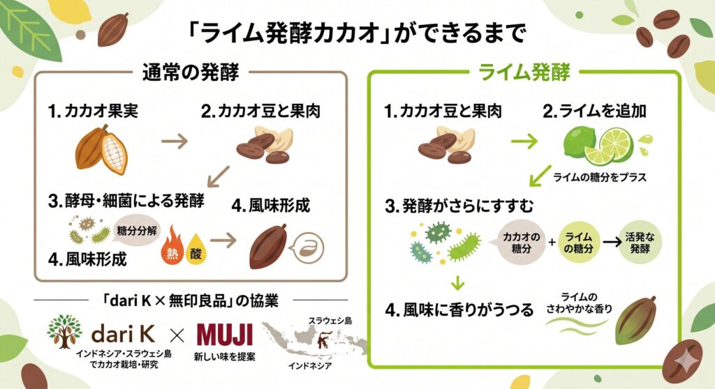 ライム発酵カカオができるまで インフォグラフィック